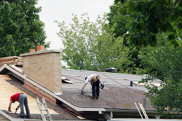 Roof Gutter Cleaning in Butler, NJ